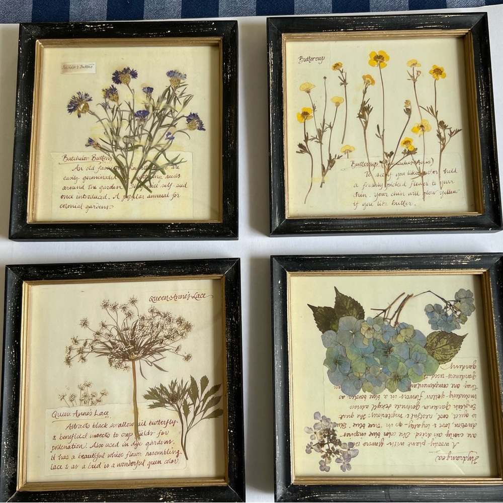 10” floral wall pictures
